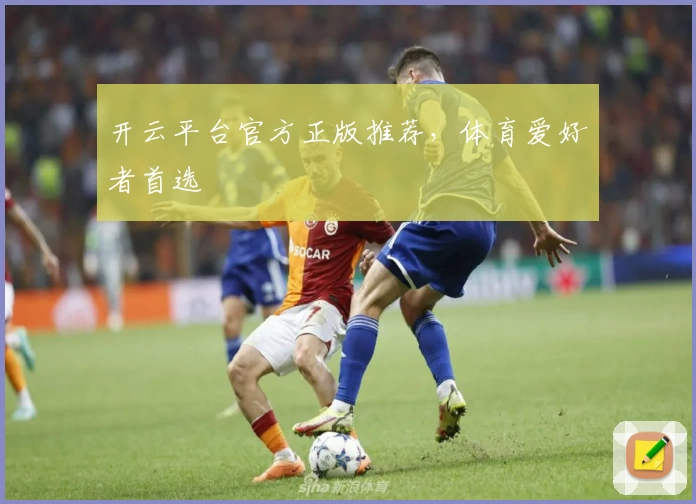 开云平台官方正版推荐，体育爱好者首选