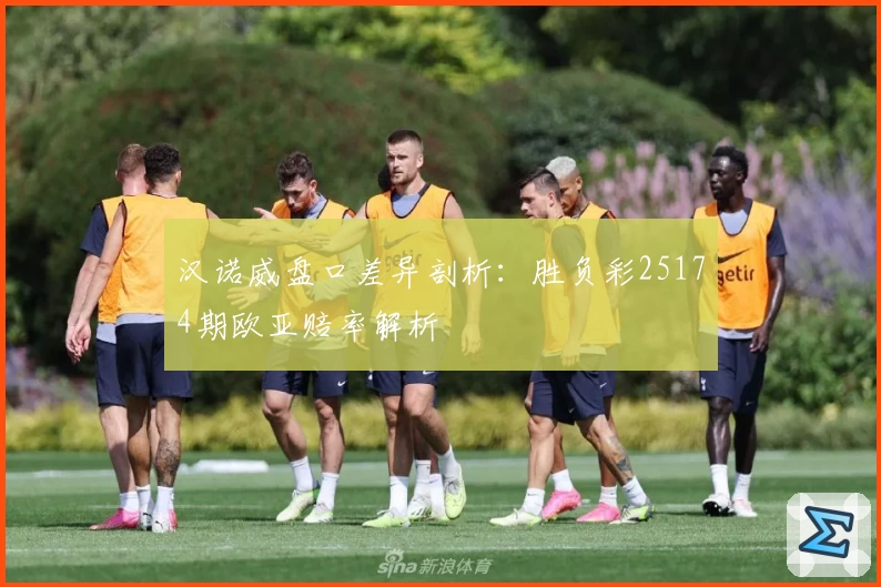 汉诺威盘口差异剖析：胜负彩25174期欧亚赔率解析