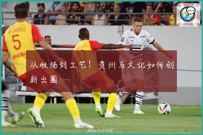 从牧场到工艺!贵州马文化如何创新出圈