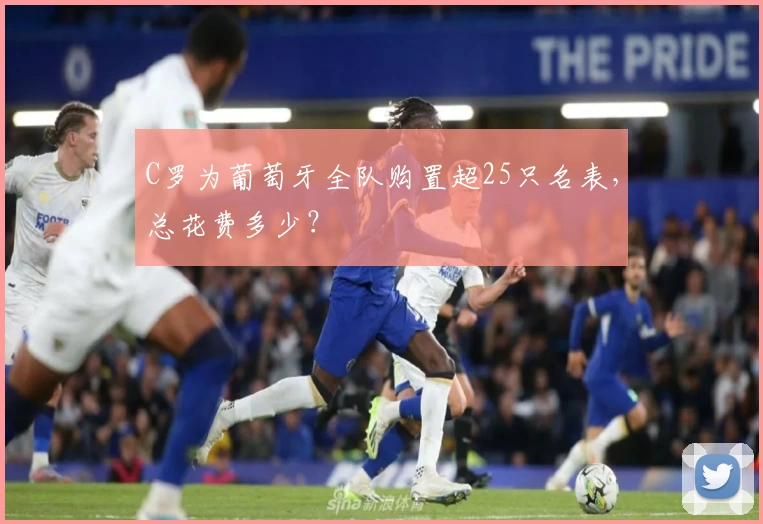 C罗为葡萄牙全队购置超25只名表，总花费多少？