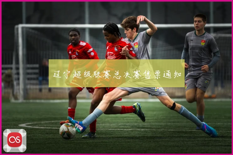 辽宁超级联赛总决赛售票通知